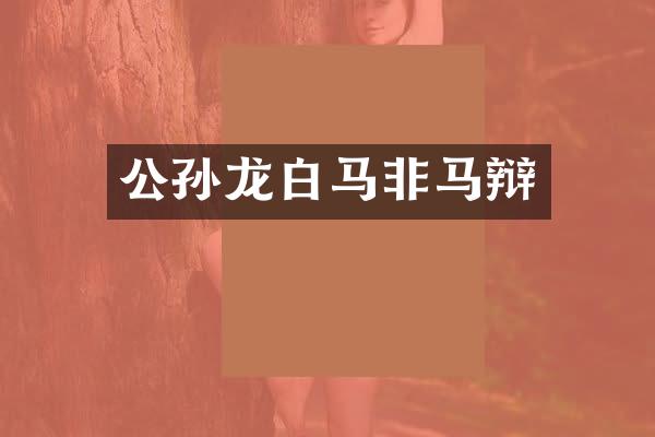 公孙龙白马非马辩