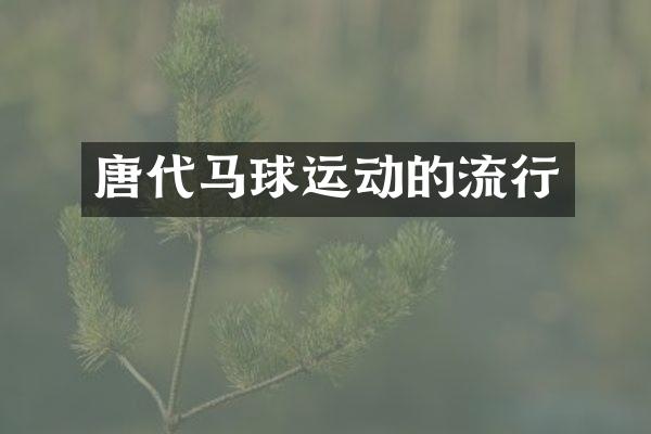 唐代马球运动的流行