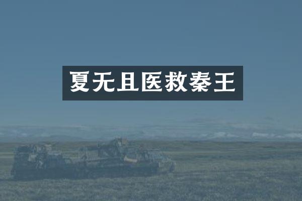 夏无且医救秦王